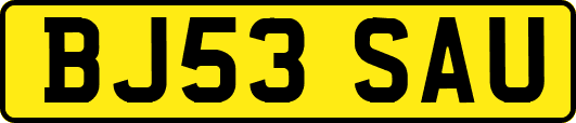 BJ53SAU