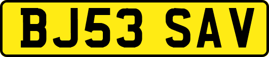 BJ53SAV