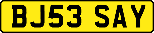 BJ53SAY
