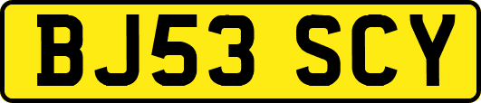 BJ53SCY