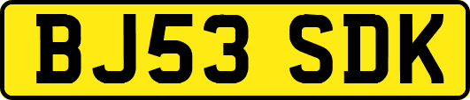 BJ53SDK