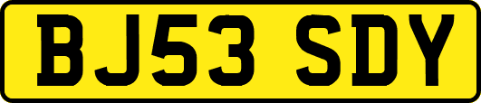 BJ53SDY