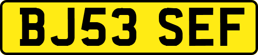 BJ53SEF