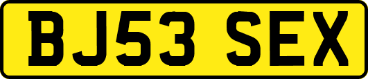 BJ53SEX