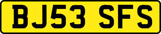 BJ53SFS