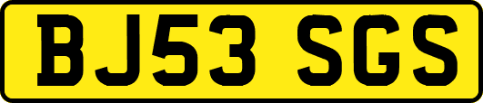 BJ53SGS