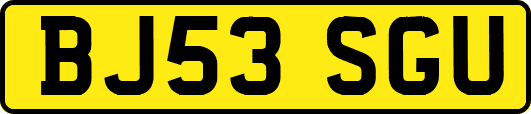 BJ53SGU