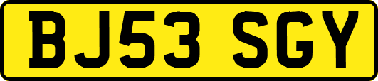 BJ53SGY
