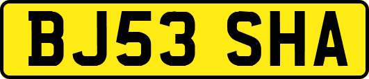 BJ53SHA