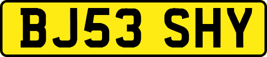 BJ53SHY