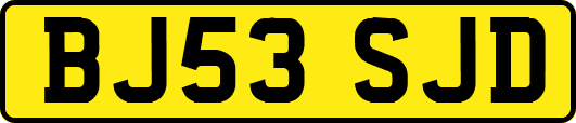 BJ53SJD