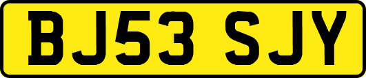 BJ53SJY