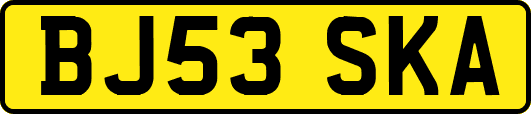 BJ53SKA