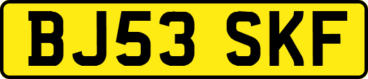BJ53SKF