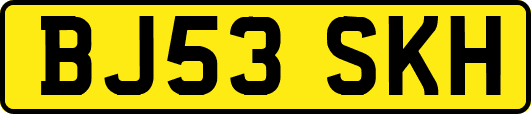 BJ53SKH