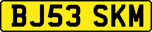 BJ53SKM