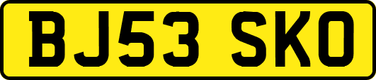 BJ53SKO
