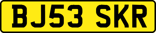 BJ53SKR