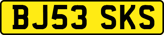 BJ53SKS