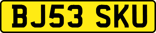BJ53SKU