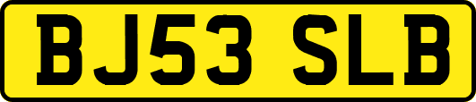 BJ53SLB
