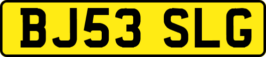 BJ53SLG