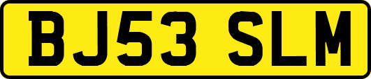 BJ53SLM