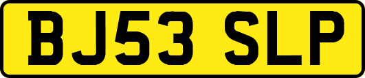 BJ53SLP