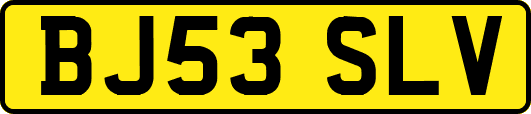 BJ53SLV