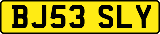 BJ53SLY
