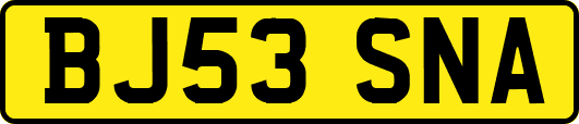 BJ53SNA