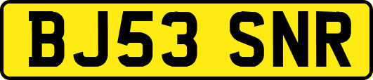BJ53SNR