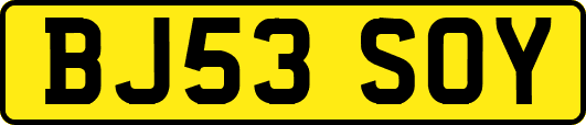 BJ53SOY