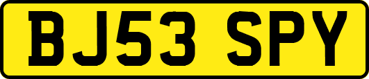 BJ53SPY