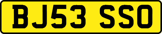 BJ53SSO