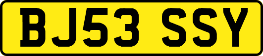 BJ53SSY