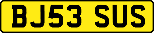 BJ53SUS