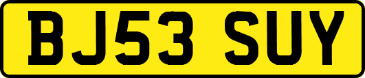 BJ53SUY