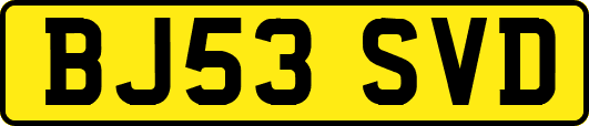 BJ53SVD