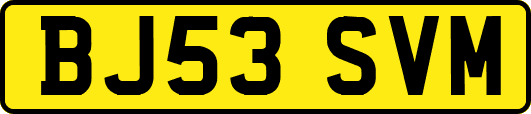 BJ53SVM