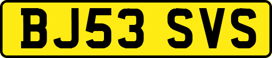 BJ53SVS