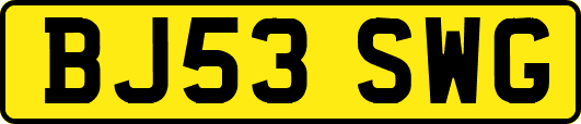 BJ53SWG