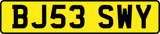 BJ53SWY