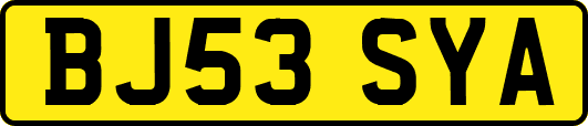 BJ53SYA