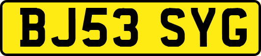 BJ53SYG