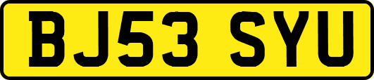 BJ53SYU