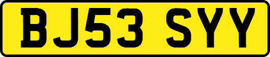 BJ53SYY
