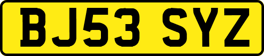 BJ53SYZ