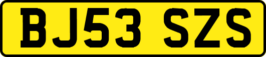 BJ53SZS