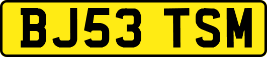 BJ53TSM